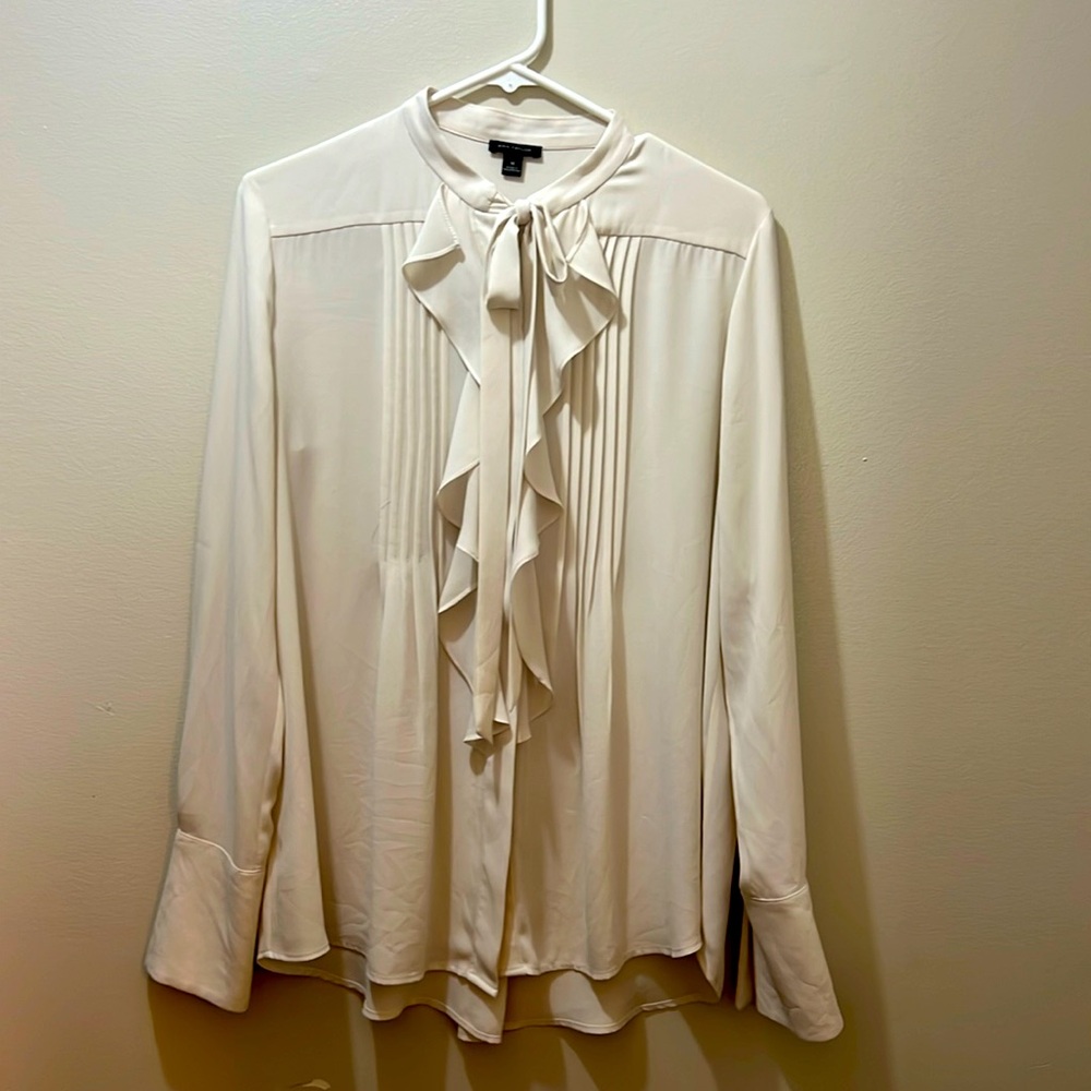 Silk Ann Taylor blouse
